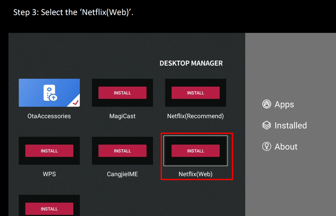 Netflix Installation Guideline